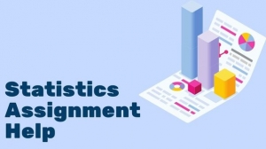 Mastering Success: Unveiling the Secrets of Top-Notch Statistics Assignment Help Services